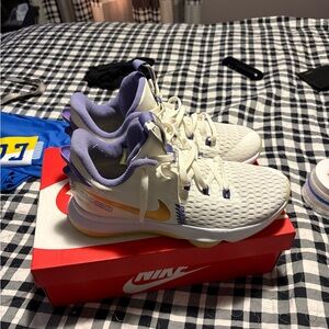LeBron basketball shoes